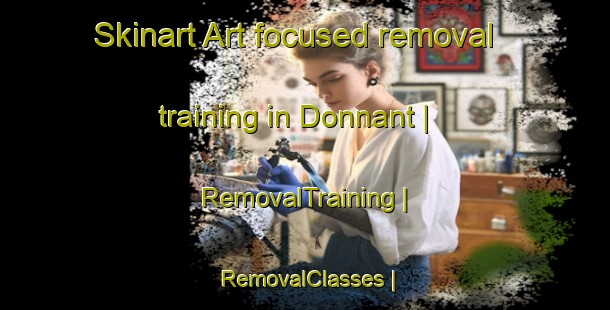 Skinart Art-focused removal training in Donnant | RemovalTraining | RemovalClasses | SkinartTraining-France